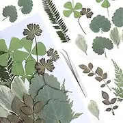 21Pcs Dried Pressed Leaves Dried Flowers Resin Dried Leaves Resin Mini Dried Flowers Crafts Dried Greenery Assorted Dried Leaves Art DIY Handmade Bookmarks