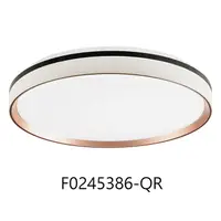 在飛比找PChome24h購物優惠-最新可換式 LED 60W吸頂燈 (F0245386-QR)