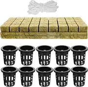 1 Set Hydroponic Growing Kit with Humidity Dome Planting Baskets Cotton String for Soilless Planting for Vegetables Flowers and Indoor Gardens