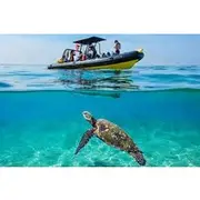 Save 9.00%! Turtle Canyon Snorkel Adventure - Small Group 6 Passengers