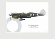 Warhead Illustrated P-40N Kittyhawk 78 Sqn RAAF HU-P Aircraft Print