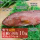 築地一番鮮 海底紅金-峇里島-野生紅鰷石斑魚10條(450g±50g/條)