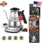 Stainless Steel & Glass Gooseneck Kettle with Auto Shut-off & Precise Control