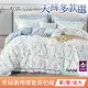 【MIT iLook】頂級台灣製萊賽爾天絲兩用被床包組(單人/雙人/加大-多款可選)