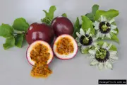 Passionfruit Panama Red Pandora Tree - Passiflora edulis