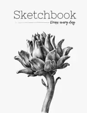 Sketchbook Draw Everyday: 120 Pages Unlined Blank Drawing Notebook, 8.5X11 Large