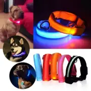 USB Rechargeable LED Dog Cat Collar Glow Flashing Light Safety Anti Loss Pet