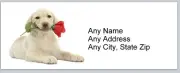 Personalized Address labels Labrador Dog with a Rose (ac 733)