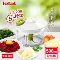 在飛比找PChome24h購物優惠-Tefal法國特福 新快易轉食物調理器(500ml)