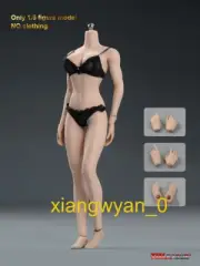PH TBLeague 1:6 Steel Stainless Female Big Breast Body Model Flexible 12" Doll