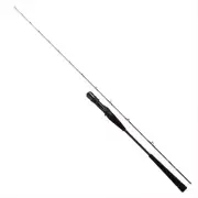 Daiwa OUTRAGE LJ 63XXHB Off shore Bait casting rod 2pcs From Stylish anglers
