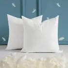 22 X 22 Throw Pillow Inserts, Set of 2 down and Feather Cotton Decorative Pillow