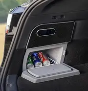 Frozen Model Y Side Refrigerator