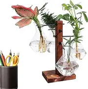 Plant Propagation Station - Hydroponic Bulb Glass Vase | Modern Air Planter Bulb Glass Vase with Wooden Stand Bulb Beaker Glass Vase for Hydroponics Plants