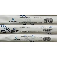 在飛比找蝦皮購物優惠-法國製 CANSON CA grain 78.8x109.2