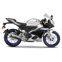 在飛比找momo購物網優惠-【YAMAHA 山葉】YZF-R15M ABS+TCS雙碟版