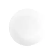 [Wilkie Brothers] Wilkie New Bone Porcelain Coupe Dinner Plate 27.5cm