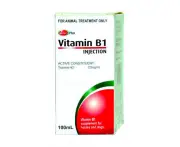 Value Plus Vitamin B1 Horse Dog Supplement 100ml
