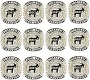 12 Pcs Goat Championship Rings Award Trophy Medal Greatest of All Time Gift for Tournament or League Champion Winner, from Size 7 to 11