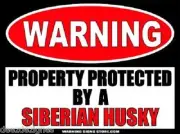 Siberian Husky Beware of Dog Warning Sign Sticker Vinyl Decal 4.5"x6" WS248