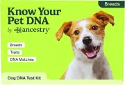 Dog DNA Breed Identification Test, Genetic Traits, DNA Matches, Dog DNA Test