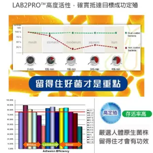 【DL-ABR淨敏舒】乳酸菌+蔬果酵素+菊苣纖維膠囊4入組(共240粒/乳酸菌/綜合蔬果酵素/木寡糖/菊苣纖維)