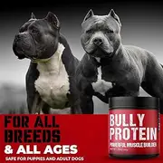 Bulk EM' UP! Real Meat Bully Protein Muscle Bulker | 283mg Pure Protein Powder for Bullys and Dogs | Daily Protein for Your Pitbull, Fast Gains. 30 Day Supply (60 Servings) Bully/Dog Protein