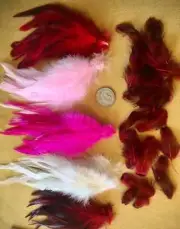 Red White Pink Rooster Feathers Pheasant Heart Feather Sweetheart Craft Pack 84+