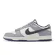 Nike Dunk Low Retro SE Light Carbon 煙灰 紫 男鞋 【ACS】 FJ4188-100