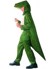 Dinosaur Boys Costume