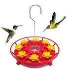 Hummingbird Feeder for Outdoors Hanging Built-in Ant Moat Bee Proof, Wild Bir...