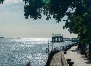 台北包車一日遊|一人成行|野柳地質公園/海洋世界|基隆廟口老街|淡水漁人碼頭|淡水老街|台北出發|獨立包車