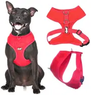 FLASH RED - Medium Vest Harness