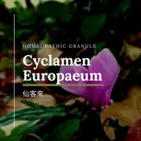 在飛比找蝦皮購物優惠-順勢糖球【仙客來●Cyclamen Europaeum】➖焦