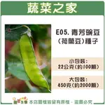 【蔬菜之家】E05.青芳豌豆(荷蘭豆)種子 (2種包裝可選)