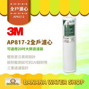 【3M】AP817-2全戶替換濾心 SS802全戶式不鏽鋼淨水系統濾芯 全戶式水塔過濾專用濾心 AP8172 活性碳濾芯