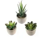 3 Pcs Artificial Succulent Plants Decorative Faux Succulents
