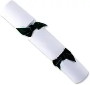 Luxury, Christmas Snowfall | Handmade Crackers | Navy Blue Bow | Pack of 8