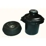 Transgold Strut Mounting Kit - TSM055K