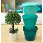 Tupperware Big Wonders 800ml Green 3pcs set