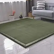 Coral Velvet Rug for Bedroom Dormitory Yoga,Home Decor for Living Room,Educational Classroom Nursery Bedroom Crawling Mat Non-Slip Rug 2cm-H- 100 * 300cm