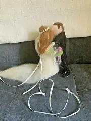 NEEDLE FELTED BRIDE AND GROOM-WEDDING, Marriage, WEDDING FIGURINES, CAKE TOPPER