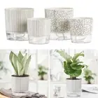 Green Plants Succulent Planter With Water Container Planter Garden Supplies