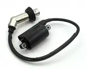 Coil For Kymco Grand DINK 250 Scooter Moped KXR 250 Atv Quad 250cc