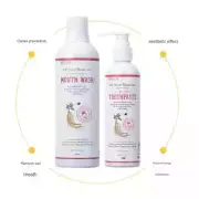 [DR.FOREST] Royal Care Mouthwash & Toothpaste Red Ginseng Extract