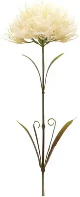 Melrose Set of 6 Beige Puff Artificial Stems 24"