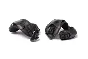 [Evolve] Renegade Bindings