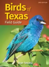 在飛比找博客來優惠-Birds of Texas Field Guide
