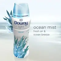 在飛比找蝦皮購物優惠-預購+現貨｜Downy ocean Mist香香豆 家庭號 