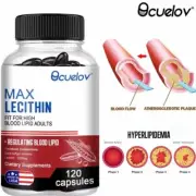 LECITHIN BRAIN FUNCTION BLOOD SUPPORT SUPPLEMENT 1200MG 120 CAPS